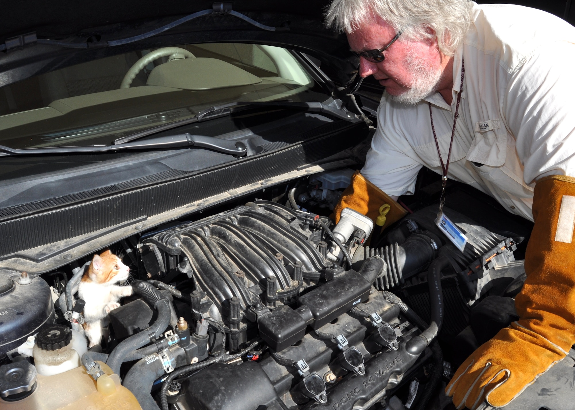 Phillip Remel, CSC pest management, attempts to encourage one of the kittens to exit the engine block, but the young feline had no intention of leaving, retreating behind the engine.  (U.S. Air Force photo by Steve Pivnick)