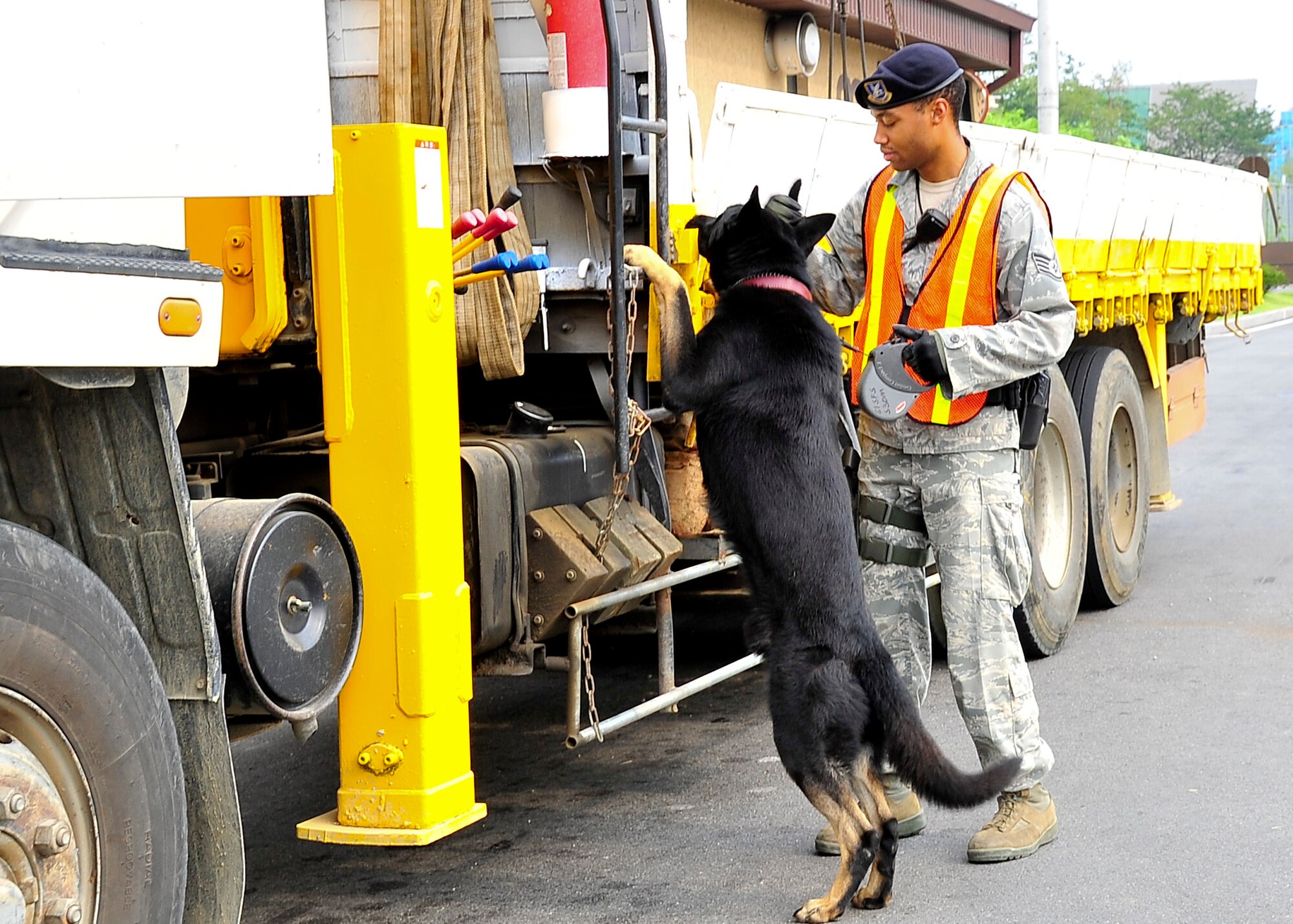 Staff Sgt. Damien Mills, 51st Security Forces Squadron military working dog handler, performs vehicle searches Aug. 29, 2011 during exercise Beverly-Midnight 11-04. Sergeant Mills and his military working dog “Milo” check each vehicle that comes through for prohibited items while ensuring the safety of Airmen at Osan Air Base. (U.S. Air Force photo/Senior Airman Adam Grant)