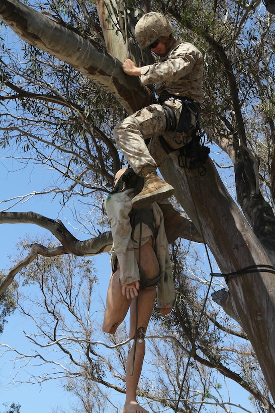 Team leader Cpl. Timur Y. Oljuskin frees a dummy simulating a tree-entangled parachutist Aug. 31 during a four-day course here in which Company L riflemen learned to recover downed or lost pilots and personnel. Company L is one of three rifle companies in Battalion Landing Team 3/1, the ground-combat element of the 11th Marine Expeditionary Unit. Pilots from the unit’s aviation combat element, Marine Medium Helicopter Squadron 268 (Reinforced), flew helicopters in support of the course. Oljuskin, 22, is from Oshkosh, Wis. He serves with Company L.