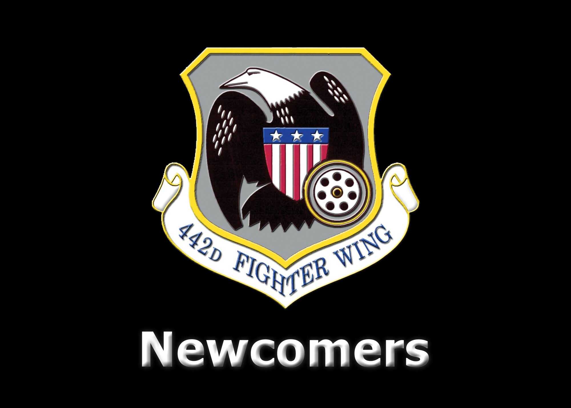 442nd Fighter Wing Newcomers 