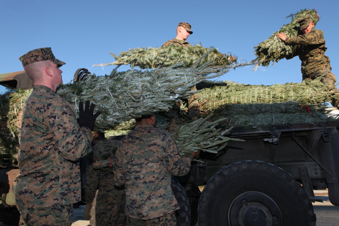 Marines load Christmas trees onto a 7-ton Medium Tactical Vehicle Replacement truck, Dec. 2, at Onslow Beach aboard Marine Corps Base Camp Lejeune.