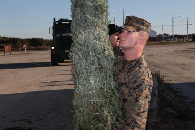 Private Robert Lohr waits to load a Christmas tree onto a flatbed truck, Dec. 2, at Onslow Beach aboard Marine Corps Base Camp Lejeune, N.C.