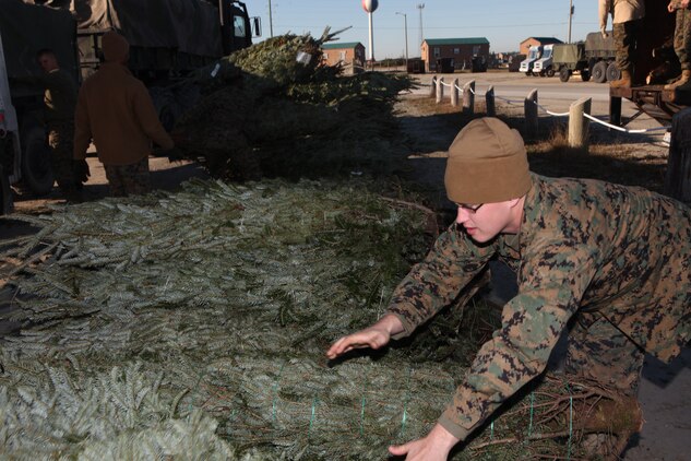 Lance Cpl. Melvin Fisher, a comptroller with II Marine Expeditionary Force Headquarters Group, organizes Christmas trees into a pile at Onslow Beach aboard Marine Corps Base Camp Lejeune, Dec. 2. The Christmas Spirit Foundation Trees for Troops  program donated 850 Christmas trees for Marines, sailors and their families who can't afford to buy one. This year, the foundation hopes to deliver its 100,000th tree since the program was created in 2005.