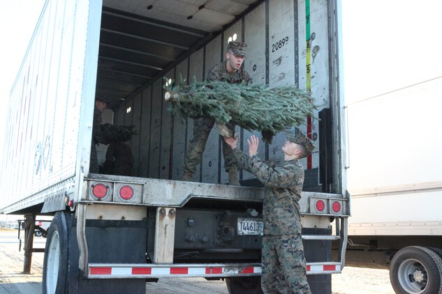 Marines unload Christmas trees from a FedEx Freight trailer at Onslow Beach aboard Marine Corps Base Camp Lejeune, Dec. 2. The Christmas Spirit  Foundation Trees For Troops program provided 850 trees for military who otherwise couldn't afford one.