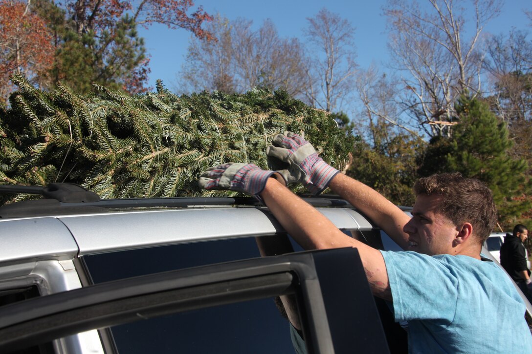 Cpl. Jay K. Joseph loads a Christmas tree onto a vehicle during the 7th Annual Trees for Troops event at Pelican Point Marina Dec. 2. Marines and civilians volunteered to unload the trees, put them into vehicles or tie them to the roofs.