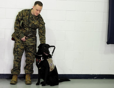 Marine Cpl. David Donchess stands with his new service dog, Ruth, during a ceremony at the Naval Consolidated Brig Charleston Dec. 1.  During the ceremony, the NAVCON Brig, in partnership with Carolina Canines for Service, presented Donchess, a wounded service member, his service dog, Ruth.  Donchess deployed twice to Helmand Province, Afghanistan with the 1st Battalion, 6th Marine Regiment.  In March 2010, the seven-ton truck he was driving detonated an Improvised Explosive Device. He sustained numerous injuries and was awarded the Purple Heart. CCFS is a non-profit health and human services organization that trains service dogs for people with disabilities. Through this program, military prisoners are taught to train service dogs for veterans with disabilities. Since the program's inception, 14 wounded service members have received service dogs. (U.S. Air Force photo/ Staff Sgt. Nicole Mickle)