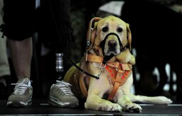 Retired Army Capt. Leslie Smith sits with her service dog, Issac, during a ceremony at the Naval Consolidated Brig Charleston Dec. 1, 2011. During the ceremony, the NAVCONBRIG, in partnership with Carolina Canines for Service, presented Marine Cpl. David Donchess, a wounded service member, his service dog Ruth. Smith lost her left leg and eye-sight after contracting a blood disorder while on duty in Bosnia in 2002 and now travels extensively on behalf of organizations such as the Wounded Warrior Project, Iraq Star Foundation, Army Wounded Warrior Program, Operation Heroes and Disabled Sports USA. CCFS is a non-profit health and human services organization that trains service dogs for people with disabilities. Through this program, military prisoners are taught to train service dogs for veterans with disabilities. Since the program's inception, 14 wounded service members have received service dogs. (U.S. Air Force photo/ Staff Sgt. Nicole Mickle) 

