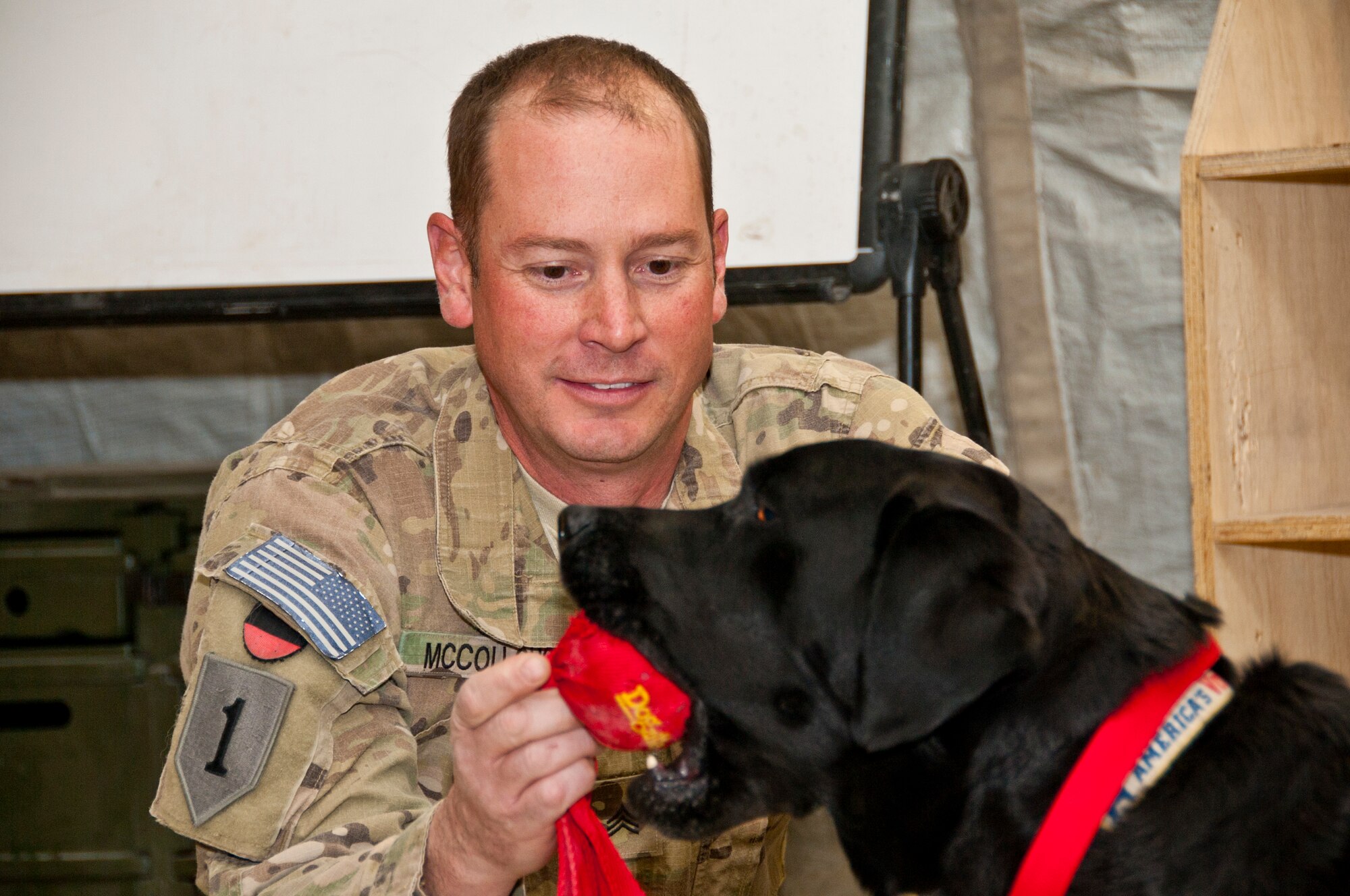 KANDAHAR AIRFIELD, Afghanistan -- Army Sgt. Paul McCollough plays with Sgt. 1st Class Zeke, a combat stress dog from Kandahar Airfield's Role 2, at the 73rd Expeditionary Air Control Squadron Dec. 1, 2011. As a combat stress dog, Zeke and his handler, McCollough, visit patients at Role 3 and requesting units around KAF to increase morale and welfare. (U.S. Air Force photo by Staff Sgt. David Carbajal)