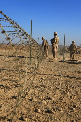 Marines with 9th Combat Engineer Support Battalion, 2nd Marine Logistics Group (Forward), construct concertina wire security elements during a mission in Helmand province, Afghanistan, Dec. 3.  The Marines spent several days building two patrol bases from the ground up.  (U.S. Marine Corps photo by Cpl. Katherine M. Solano)