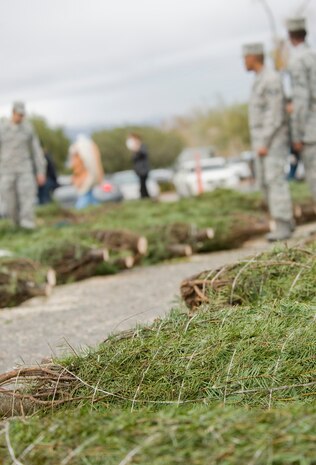 Christmas trees line the base chapel parking lot Dec. 2, 2011, on Nellis Air Force Base, Nev. More than 600 trees were donated to families of deployed spouses and Airmen from Nellis and Creech.  (U.S Air Force photo by Senior Airman Stephanie Rubi / Released)