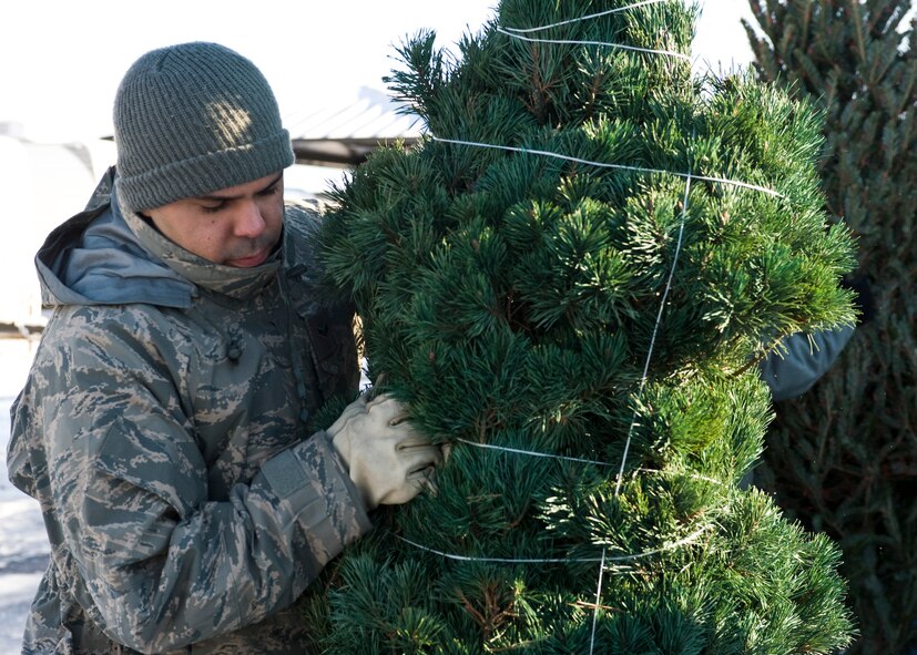 Airman 1st Class Abimael Santiago, 28th Aircraft Maintenance Squadron combat oriented supply organization technician, unloads a tree during the Trees for Troops event on Ellsworth Air Force Base, S.D., Dec. 1, 2011. More than 300 trees were donated and delivered for military families. (U.S. Air Force photo by Airman Alystria Maurer/Released)
