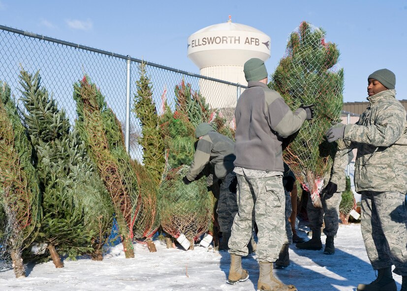 Airmen line up and stack Christmas trees along the fence during the Trees for Troops event on Ellsworth Air Force Base, S.D., Dec. 1, 2011. More than 300 trees were donated for the Ellsworth Airmen and their families. Spouses of deployed Airmen were able to pick out a tree the first day and the remaining trees were available to all other Airmen on a first-come, first-served basis.(U.S. Air Force photo by Airman Alystria Maurer/Released)