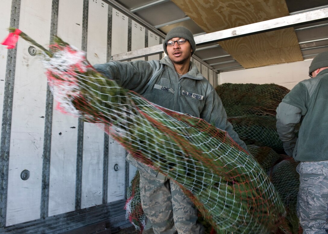 Airman Kristopher Love, 28th Aircraft Maintenance Squadron crew chief, unloads a tree from a truck trailer on Ellsworth Air Force Base, S.D., Dec. 1, 2011. Airmen gathered at the 28th Force Support Squadron Outdoor Recreation office to help unload more than 300 Christmas trees for families on Ellsworth donated by Trees for Troops. (U.S. Air Force photo by Airman Alystria Maurer/Released)