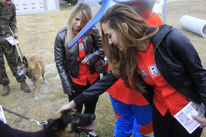 Ashley, a dancer with the Miami Marlins’ Mermaids pets one of the Provost Marshal’s Office K-9 unit dogs after a demonstration by PMO’s K-9 unit here Dec. 7. The Marlins spent the day visiting different units around the station, signing autographs and spending time with Marines while learning about what Marines aboard the station do every day. Armed Forces Entertainment gives professional athletes, comedians and other entertainers the opportunity to visit American bases and stations outside the continental U.S. This is the fourth AFE trip the Marlins have conducted and their::r::::n::first time visiting the Pacific region. Everywhere the Marlins went they were greeted with open arms by Marines who were more than willing to share stories about their daily lives, but::r::::n::most importantly to get to spend time with the visitors. The Marlins signed autographs for service members and a baseball for the commanding officer of each unit they visited. After::r::::n::visiting several units aboard the station, the Marlins went::r::::n::to the Penny Lake baseball field where the Mermaids practiced and performed a dance routine with resident children while the players played a mini-softball game with other children. AFE::r::::n::organizes approximately 120 yearly trips that entertain::r::::n::approximately 500,000 troops.