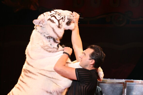 SPANGDAHLEM AIR BASE, Germany — The Trier Weihnachtszirkus, or holiday circus, takes place Dec. 20 - Jan. 1 at the Trier Moselauen fairgrounds. Among the highlights of this year’s show are white tigers and lions from Las Vegas, acrobatic acts, horse shows, motorcycle tricks, clowning acts and much more. Shows are daily at 3:30 and 7:30 p.m., and there is no show Dec. 24. The debut is at 7:30 p.m. Dec. 20. A family show takes place Dec. 12 at 3:30 with reduced prices. For tickets, call the ticket hotline at 0651-99891534, 0651-9790779 or visit http://www.weihnachtscircus-trier.de. People may also get tickets at the door 30 minutes prior to the performing time. (Courtesy photo)