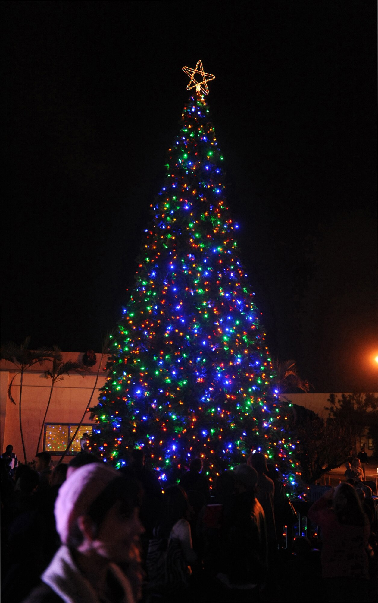People stand and watch as the Christmas tree is lit at the Schilling Community Center during the 2011 Tinsel Town, on Kadena Air Base, Japan, Dec. 2, 2011. Tinsel Town included many attractions for children including bouncers, a merry-go-round, train rides, and a chance for kids to meet Santa Claus. (U.S. Air Force photo by Airman 1st Class Justin Veazie/Released)