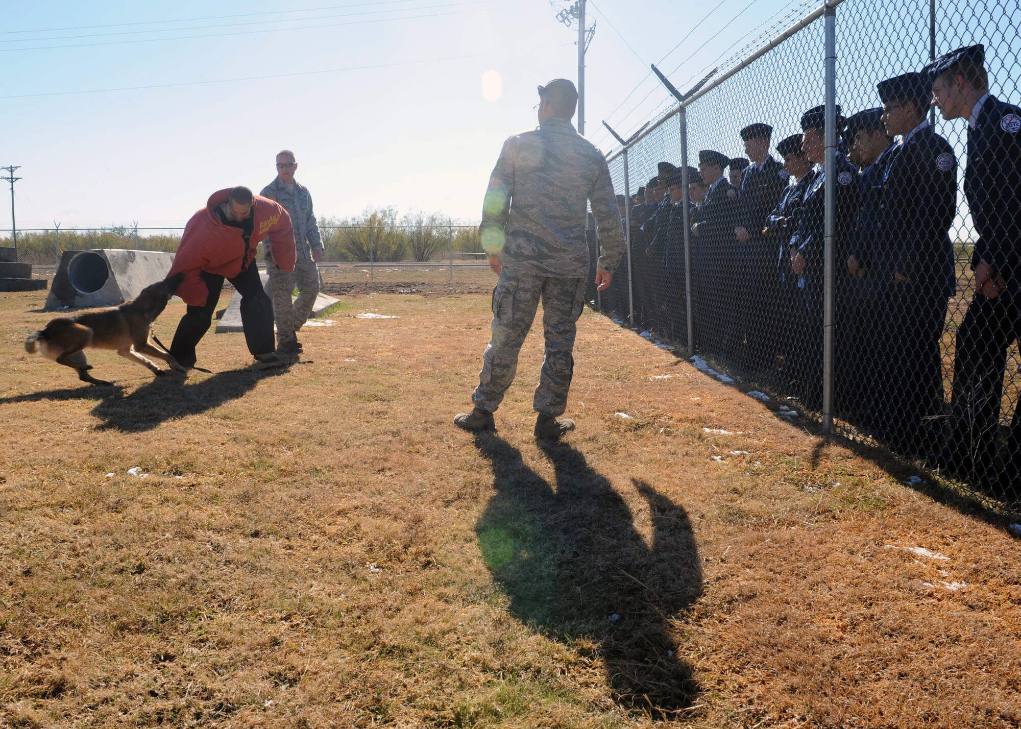 Staff Sgt. Andre Hernandez, 7th Security Forces Squadron, demonstrates being attacked by a military working dog during a Cooper High School base tour Dec. 7, 2011, at Dyess Air Force Base, Texas. Military working dogs are trained to detect explosives and drugs while also protecting their handler. (U.S. Air Force photo by Airman 1st Class Jonathan Stefanko/ Released)