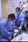 Airman 1st Class Kristopher Little, 4th Aerospace Medicine Squadron (AMDS) dental technician, passes Capt. Jonathan Norris a hand instrument during a refill cavity procedure on Seymour Johnson Air Force Base, N.C., Dec. 7, 2011. Dentists and dental technicians must wear personal protective equipment such as eyewear, scrubs, and gloves to protect themselves and the patient from spreading bacteria. Norris is a 4 AMDS dentist from Virginia Beach, Va., and Little is from Charleston, S.C. (U.S. Air Force photo by Senior Airman Whitney Stanfield) 