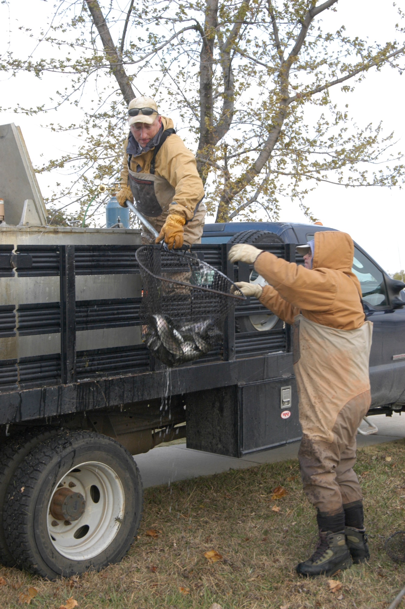 72nd Civil Engineer Directorate natural resources biologist Raymond Moody hands Cultural Resource Program manager Tim Taylor a net of fish hoisted out of a portable tank Tuesday afternoon. The two men stocked Beaver Pond at Tinker’s Fam Camp with 1,000 rainbow trout they transported from a fish hatchery in Missouri. The temperature of the pond at the time was a chilly 41 degrees. A $10 trout stamp/license is required before fishing on base for trout, and is available at Outdoor Recreation, Bldg. 478. (Air Force photo by Mike Ray)