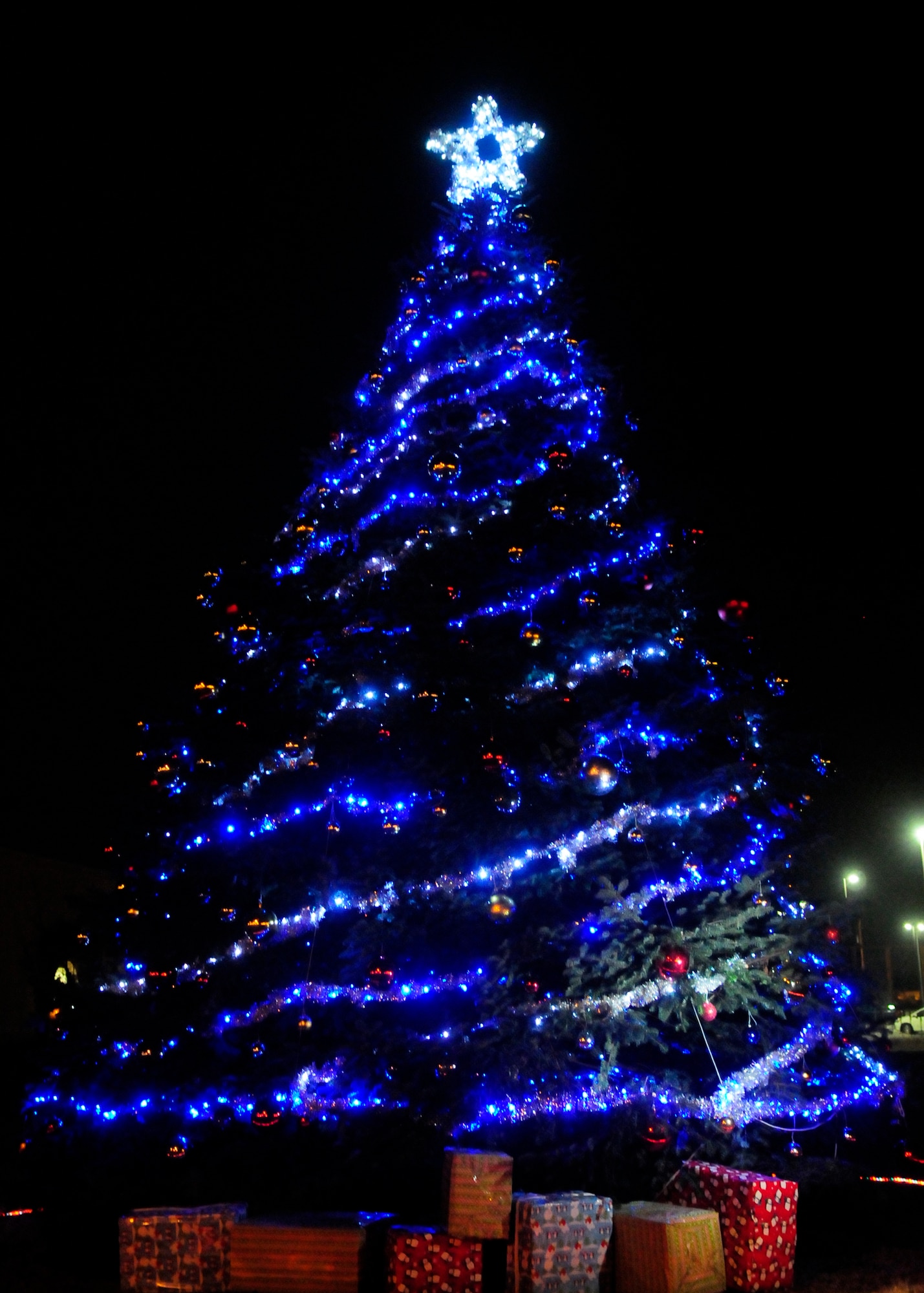 The annual Christmas Tree lighting ceremony was held Dec. 7 at Aviano Air Base, Italy.The event included a treelighting countdown, caroling performances, santa's arrival, and free hot chocolate. (U.S. Air Force photo/Airman 1st Class Briana Jones)


