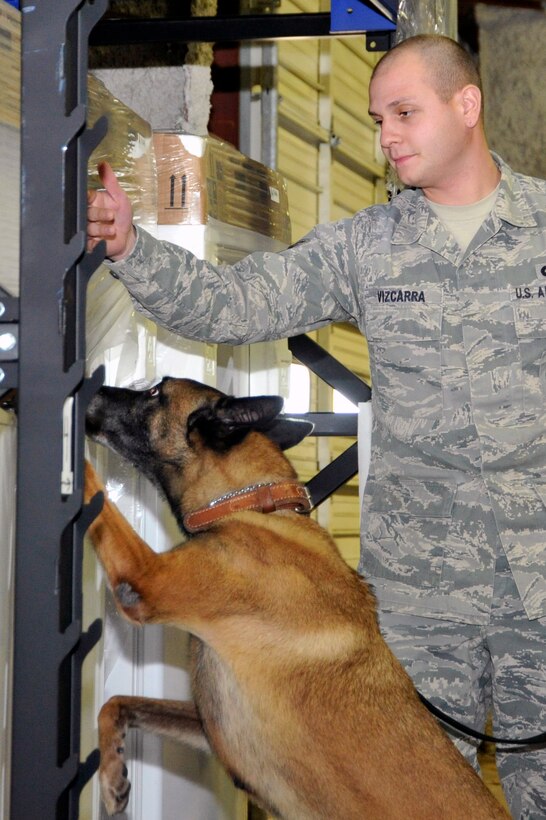 Jackson, an 11th Security Forces Group military working dog, and Senior Airman Ronald Vizcarra, 11 SFG MWD handler, search a warehouse for explosive devices during training here Dec. 1. Airmen regular train their MWDs in detection, controlled aggression, and the obstacle course in order to keep both the dogs, and handler's skills sharp. (U.S. Air Force photo/Senior Airman Perry Aston)