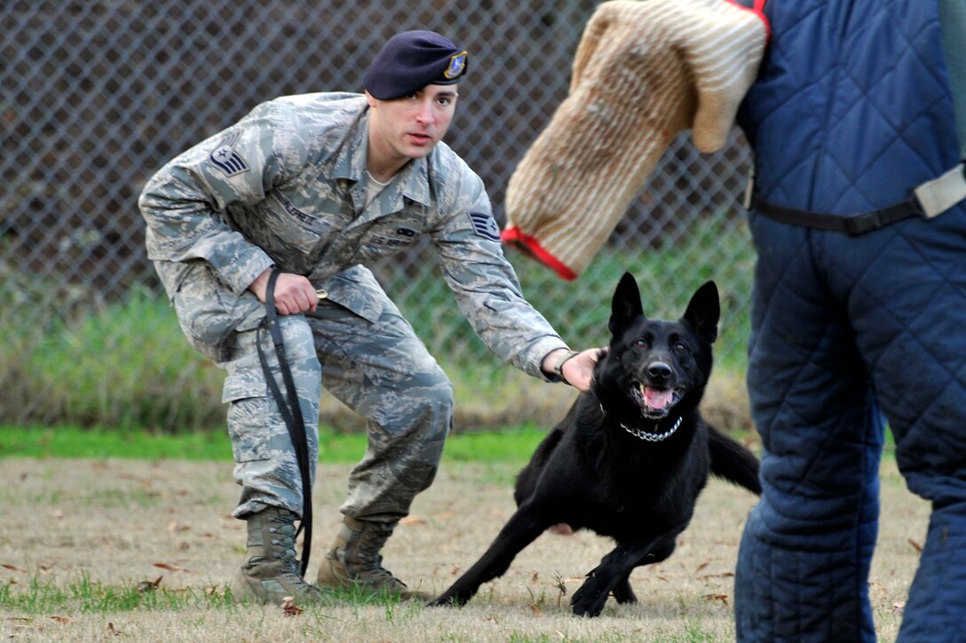 Staff Sgt. Joshua Aleprete, 11th Security Forces Group military working dog handler, prepares to release his dog after a simulated assailant during controlled aggression training here Nov. 30. The 11 SFG houses the largest MWD section in the Air Force, and supports various State Department and Secret Service missions in the National Capital Region. (U.S. Air Force photo/Senior Airman Perry Aston)