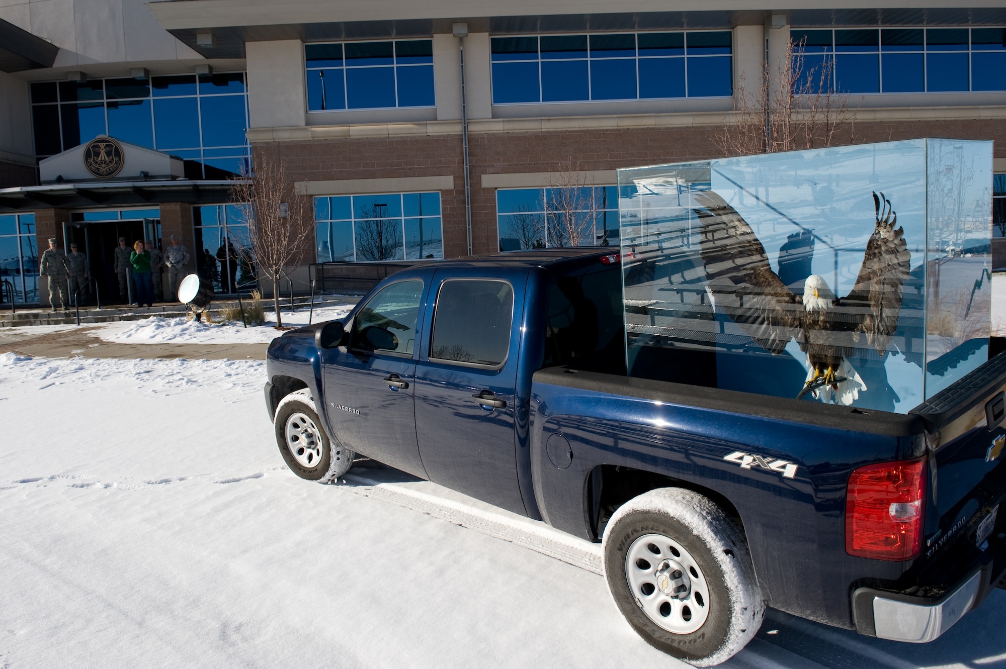 BUCKLEY AIR FORCE BASE, Colo. -- Lucy, a preserved bald eagle, is moved to her new home at the 460th Space Wing headquarters. Under the Bald and Golden Eagle Protection Act, a permit is required to display remains of bald eagles. (U.S. Air Force photo by Airman 1st Class Phillip Houk)