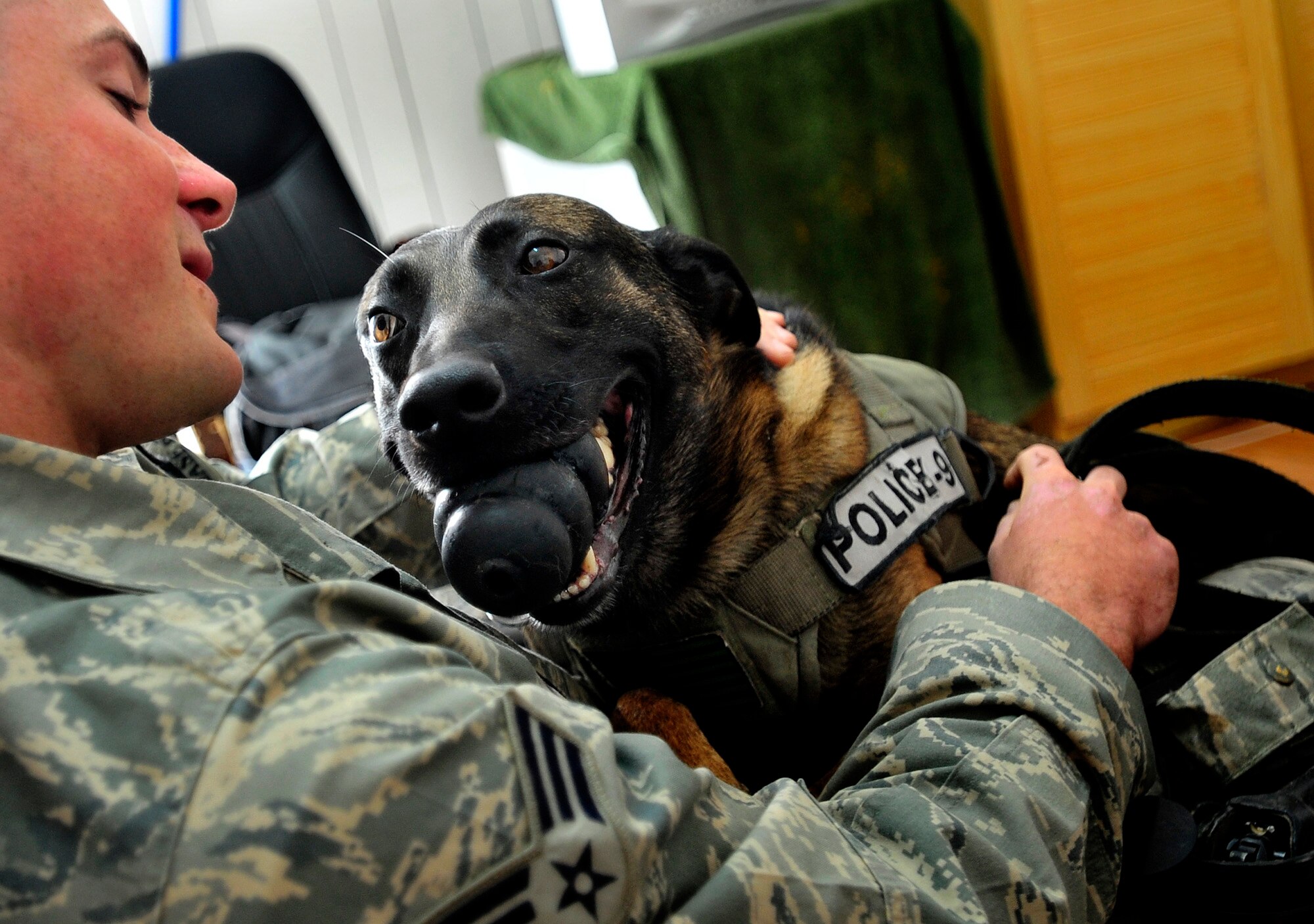 Geri, a patrol and explosive detector dog assigned to the 447th Expeditionary Security Forces Squadron,cuddles with his handler Senior Airman Stephen Hanks, 447th ESFS military working dog handler, after a long day of patrolling the Sather Air Base perimeter in Baghdad, Iraq, Dec. 11, 2011. For the last six months Geri and Hanks, have been supporting Operation New Dawn by providing explosive and psychological deterrence. Hanks and Geri are deployed from Patrick Air Force Base, Fla. Hanks is from Amherst, Mass. (U.S. Air Force photo/Master Sgt. Cecilio Ricardo)