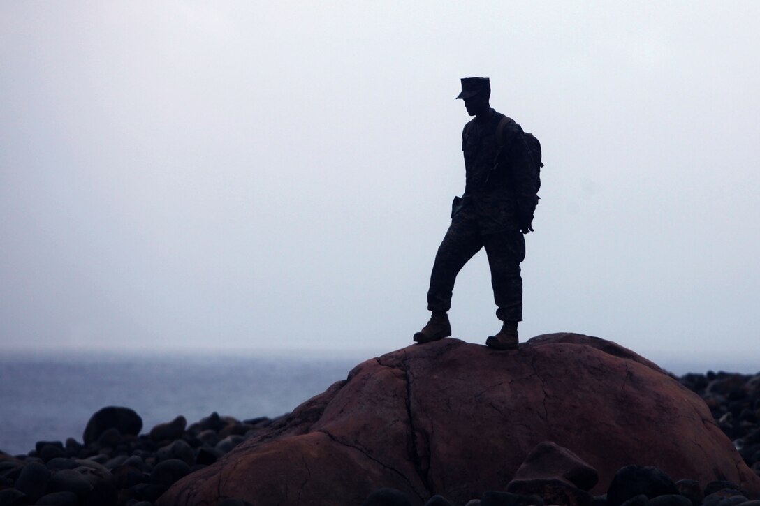A Marine admires the view from the beach of Iwo Jima here Dec. 16. The Marines and sailors of Marine Wing Headquarters Squadron 1, visited the island to conduct a study of the famous Battle of Iwo Jima as part of the unit’s professional military education program. “This is every Marine’s dream,” said Gunnery Sgt. Christopher Brewer, a Dover, Dela. native and embarkation chief for MWHS-1, 1st Marine Aircraft Wing, III Marine Expeditionary Force. “It’s a surreal feeling to be here given the history of what this island means to all Marines and sailors.” MWHS-1 is part of 1st Marine Aircraft Wing, III Marine Expeditionary Force.