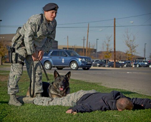 ALTUS AIR FORCE BASE, Okla. Senior Airman Lauren Santa Cruz, 97th Security Forces Squadron working military dog handler, trains WMD Endy search procedures. Endy is a 7-year-old German shepherd and has been deployed twice with the U.S. Army in Afghanistan. Senior Airmen Lauren Santa Cruz and Endy responded to Elk City’s bomb threat Dec. 10, 2011. (Courtesy photo by Tech. Sgt. Marcus King)