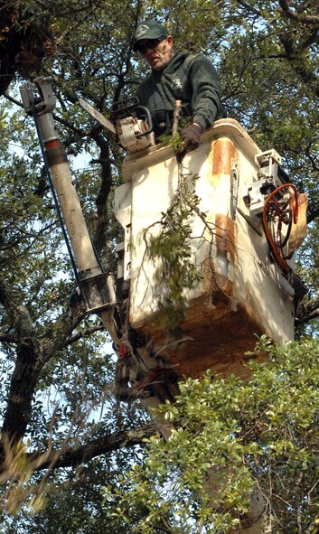 Chris Harris, co-owner of Top Notch Tree Work, removes dead tree branches on Barksdale Air Force Base, La., Dec. 19. Harris has been cutting trees for Barksdale for five years and his team of employees are continuously improving the appearance of the base. (U.S. Air Force photo/Airman 1st Class Joseph A. Pagán Jr.)(RELEASED)