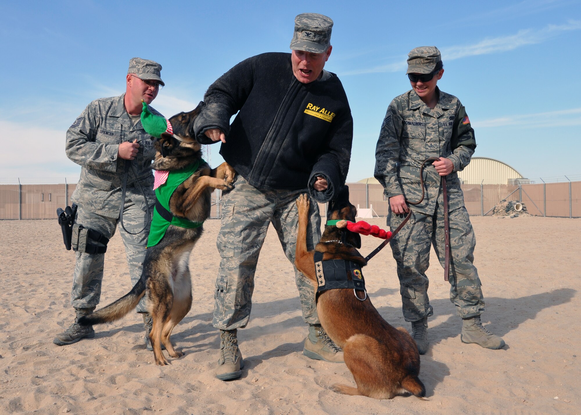 SOUTHWEST ASIA -- Col. Michael Zick, 386th Air Expeditionary Wing commander, might be on the naughty list for the 386th Expeditionary Security Forces Squadron Military Working Dogs' "Angry Elf" and "Angry Reindeer" during a demonstration Dec. 21, 2011.  The elf is Omega, whose handler is Tech. Sgt. Barry Spencer, and the reindeer is Glen, handled by Senior Airman Melissa Schmalhorst.  There are still a few days until the final "naughty or nice" list comes out, and the 386th ESFS MWDs will always protect the base from the naughty people.  (U.S. Air Force photo/Tech. Sgt. Stacy Fowler)