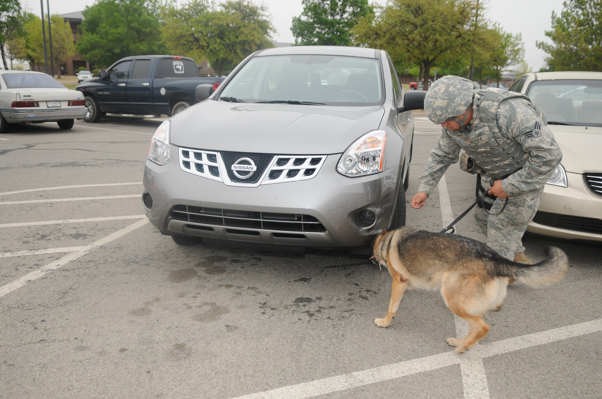 GOODFELLOW AIR FORCE BASE, Texas-- Senior Airman Stephen Rivera, 17th Security Forces Squadron, and a Military Working Dog check vehicles for possible explosive devices during a base-wide training exercise, March 29, 2011. The defenders earned the Air Force's 2010 Outstanding Small Security Forces Unit of the Year, and received the Air Education and Training Command 2010 Verne Orr Award, which now competes at Air Force-level. Part of the squadron’s award can be attributed to community relations events such as MWD demonstrations. Last year, the working dogs gave more than 500 civilians and servicemembers a chance to see them in action at more than 10 on and off base demonstrations. (U.S. Air Force photo/Staff Sgt. Heather Rodgers)