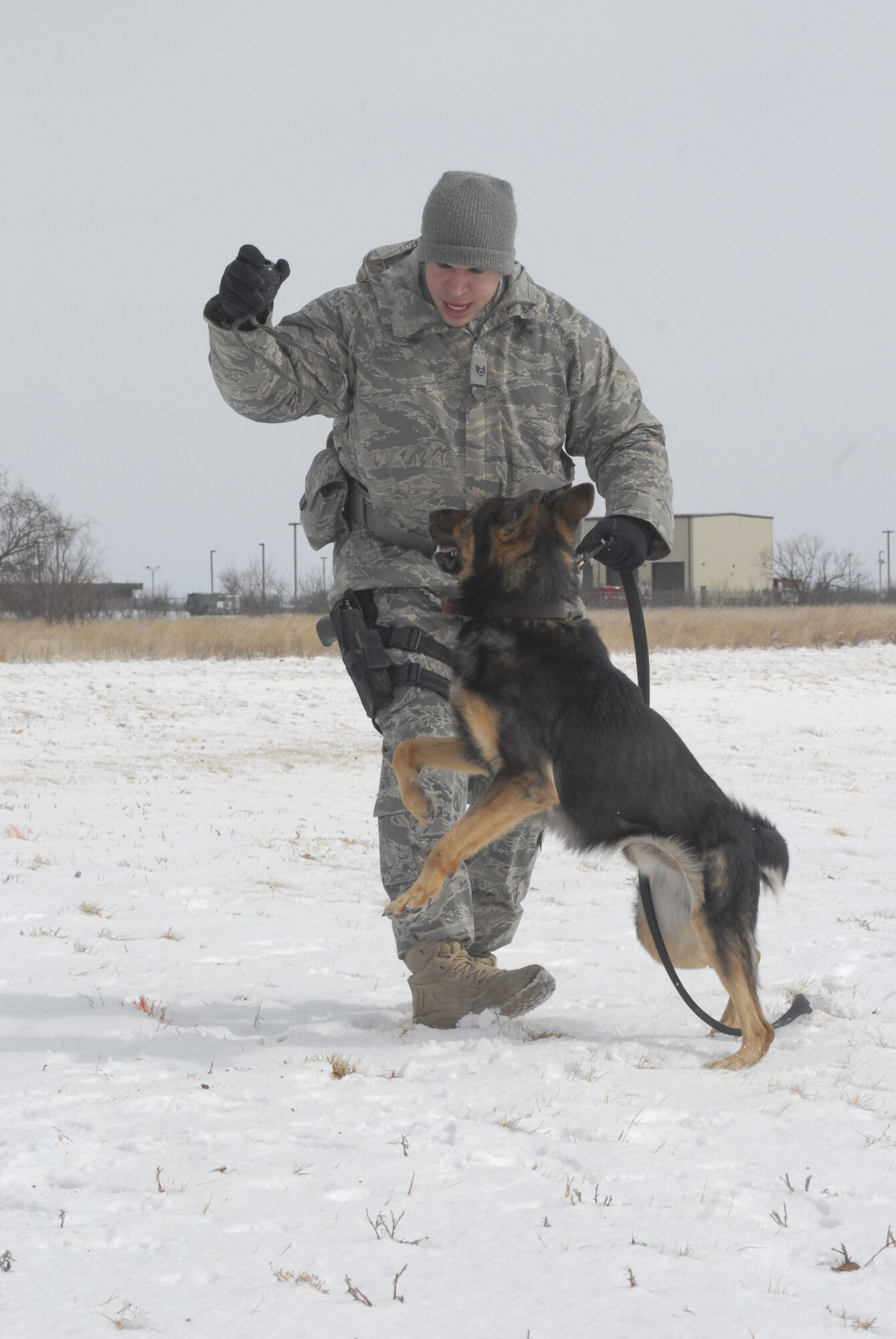 GOODFELLOW AIR FORCE BASE, Texas-  One of Goodfellow's finest team members, Spindla, a military working dog assigned here, and his handler, Staff Sgt. Johnathan Halcomb, 17th Security Forces Squadron, exercise and play in the snow, Feb. 1. Nearly two inches of snow and ice blanketed the San Angelo area. (U.S. Air Force photo/Airman 1st Class Jessica D. Keith)