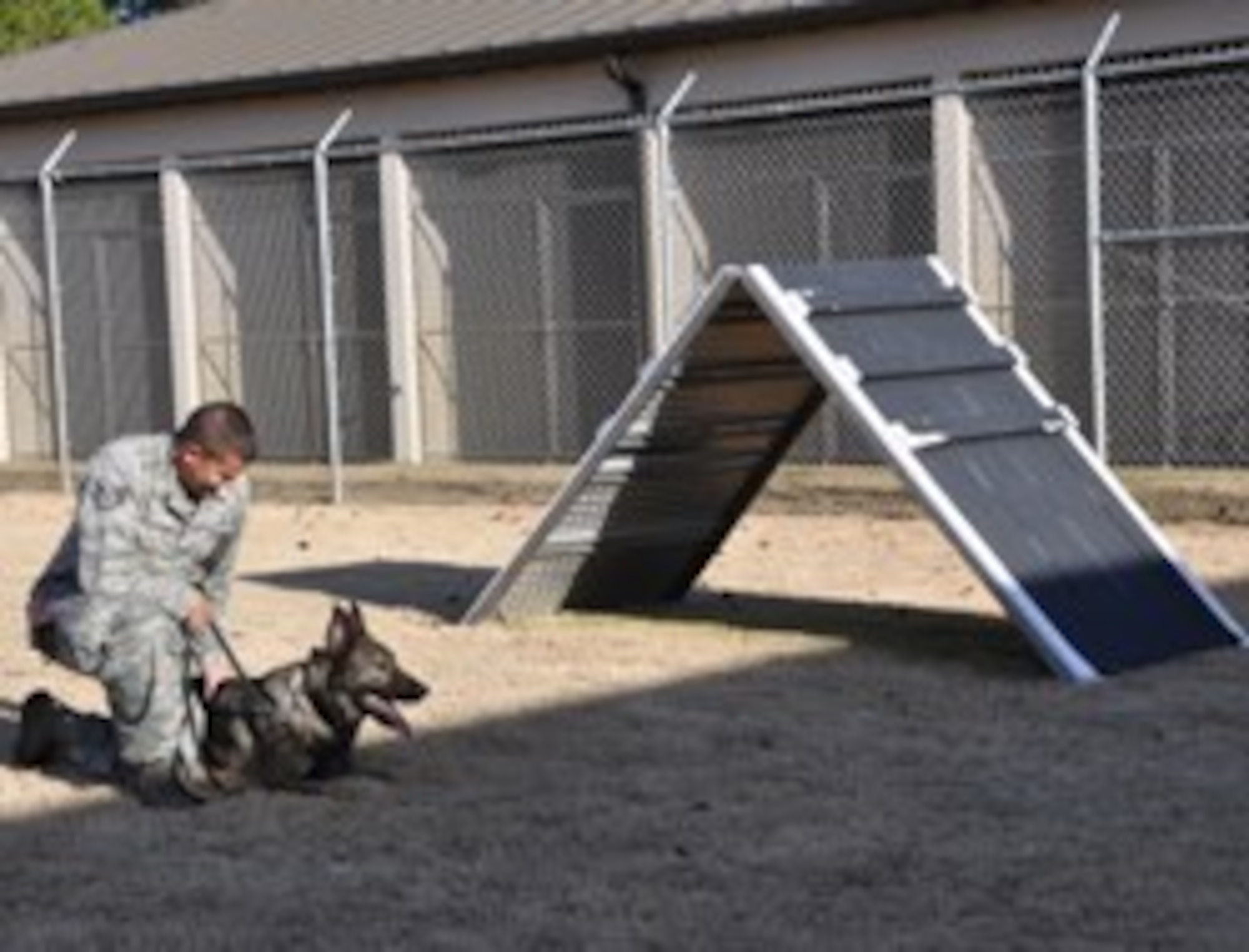 Staff Sgt. Franco Dallesandro, 325th Security Forces Squadron, military working dog handler and Dak, take a break in the outdoor training area next to the newly renovated dog kennels. The kennels received various new upgrades to improve the quality of life and training environment for dogs and handlers. (U.S. Air Force photo by 2nd Lt. Melanie Holliday) 


