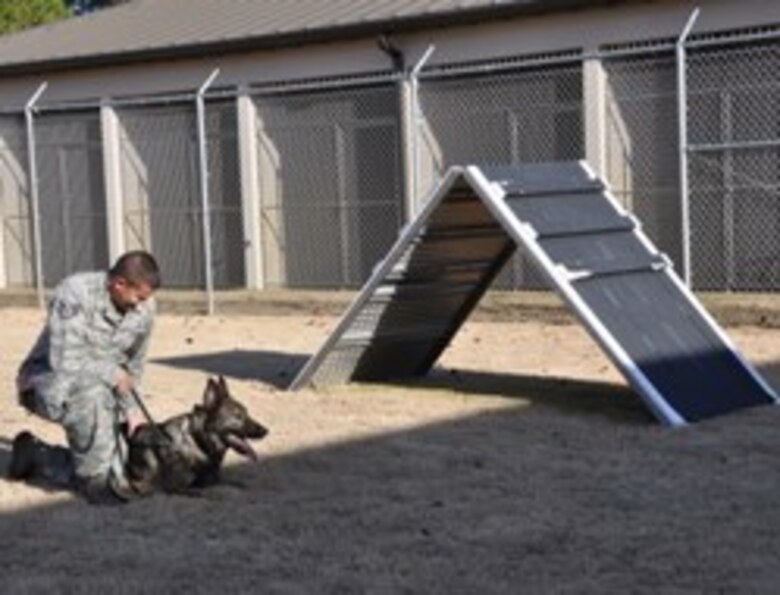 Renovations to dog kennels improve mission, quality of life > Tyndall Air Force Base > Article