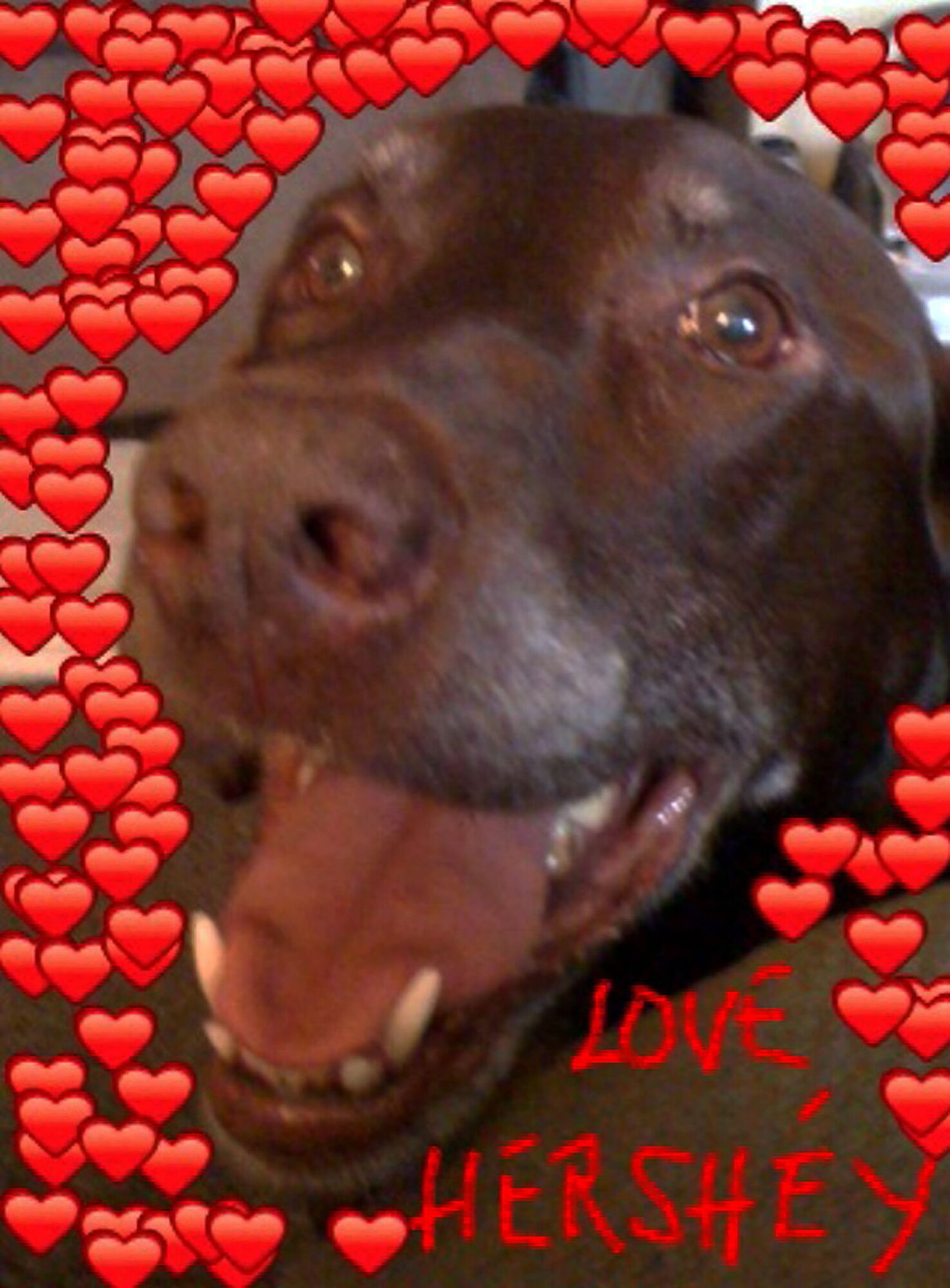 TRAVIS AIR FORCE BASE, Calif. -- (U.S. Air Force photo illistration/Ms. Allison Porch)