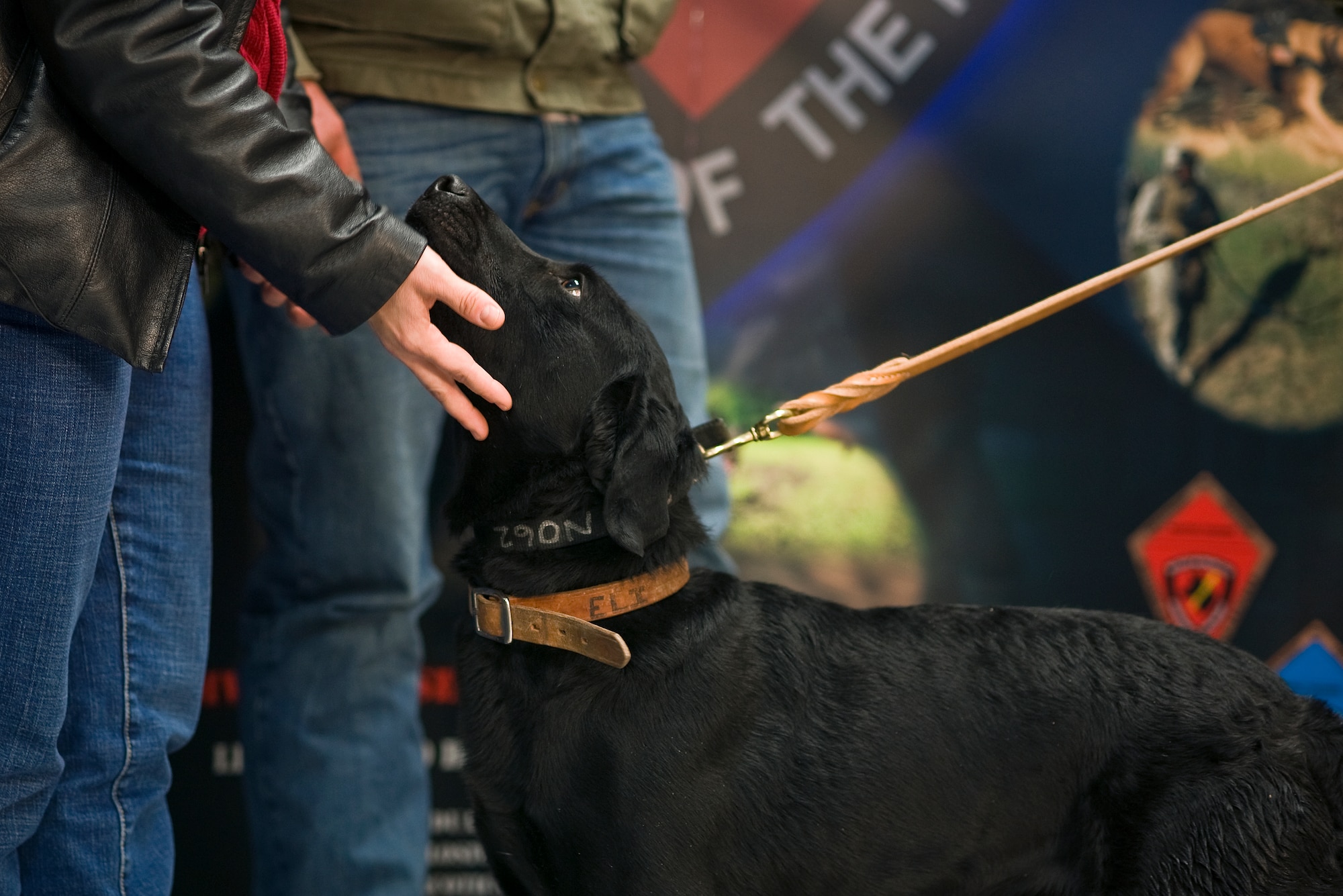 Eli, a bomb-sniffing military working dog whose handler, Marine Pfc. Colton Rusk, was killed Dec. 5 in Afghanistan by Taliban sniper fire, greets Kathy Rusk, mother of the fallen Marine, during the Labrador retriever’s retirement and adoption ceremony Feb. 3, 2011, at Lackland Air Force Base, Texas. Department of Defense officials granted the Rusk family permission to adopt Eli following his “retirement from the U.S. Marine Corps.” (U.S. Air Force photo/Tech. Sgt. Bennie J. Davis III)