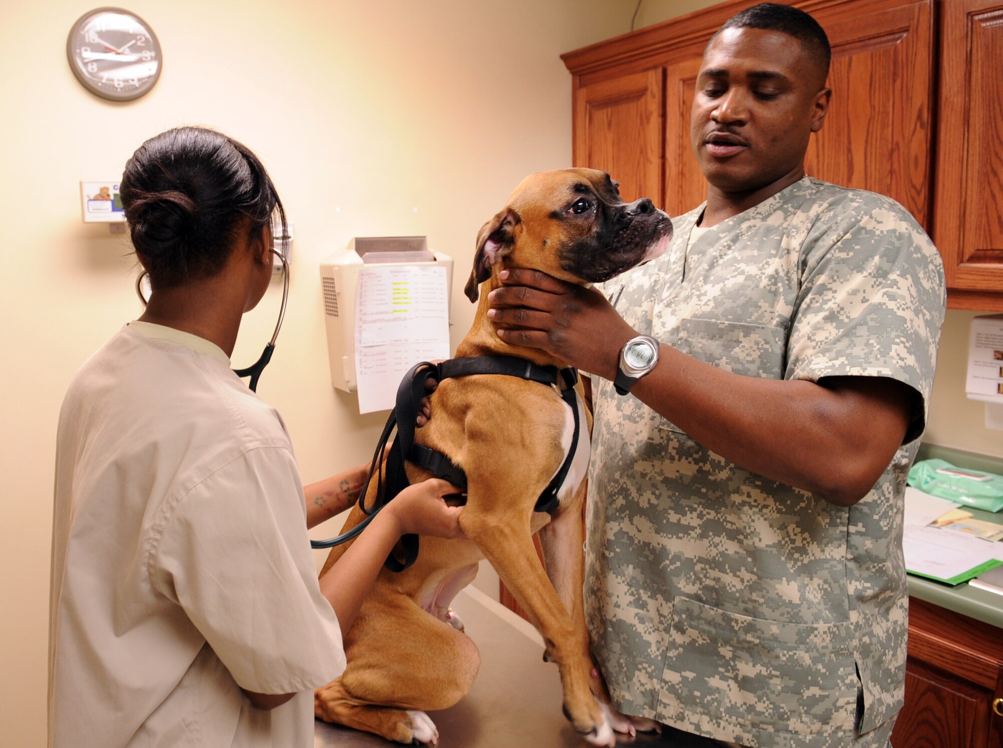 MOODY AIR FORCE BASE, Ga. -- Staff Sgt. Terrance McDuffie, 23rd Aerospace Medicine Squadron animal care technician NCO in charge, holds Fenway as Spc. Latuanya Shiver, 23rd AMDS animal care technician, checks Tyson’s heart rate Feb. 3. Due to horseplay, Tyson’s heart rate was 103 beats per minute, which is slightly higher than average. (U.S. Air Force photo/Airman 1st Class Douglas Ellis)(RELEASED)
