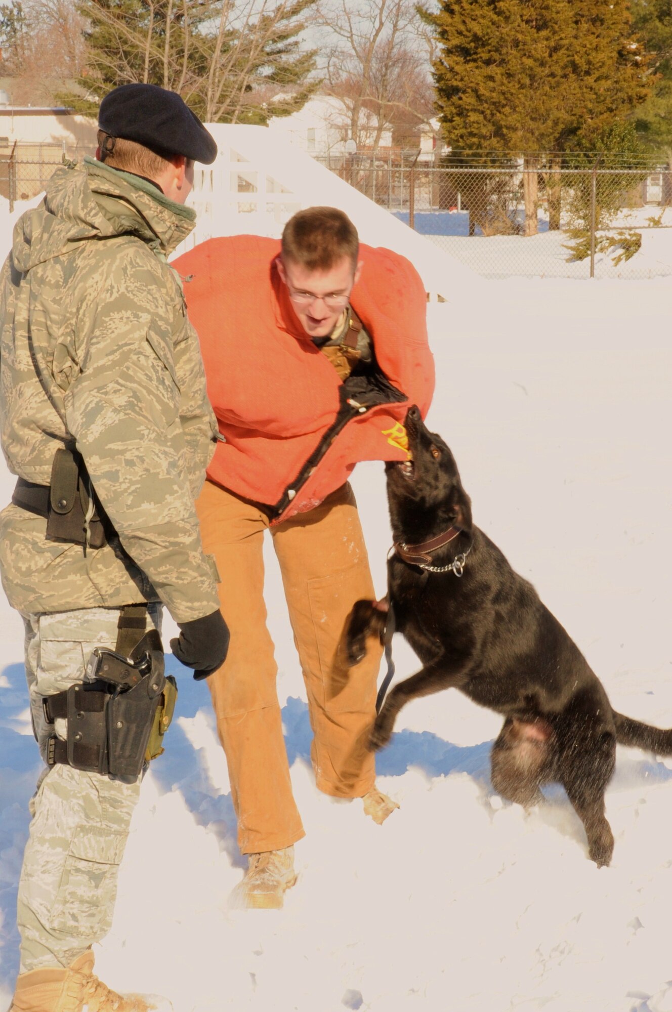 Staff Sgt. Ryan Knopf, 87th Security Forces Squadron K-9 trainer, performs a takedown drill with Bagira, a German Sheppard military working dog. Senior Airman Jason Allaire, 87th SFS K-9 handler, is Bagira’s handler and gives commands to control the situation. (U.S. Air Force photo/Airman 1st Class Dennis Sloan) 