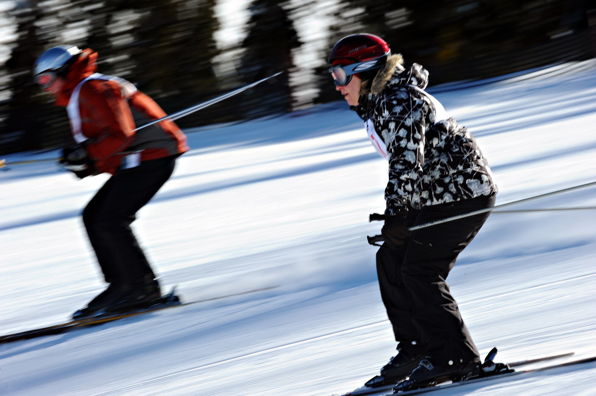 Racers compete during individual ski races during day two of SnoFest Jan. 30, 2011. Nearly 200 racers competed in both ski and snowboard races for bragging rights. (U.S. Air Force photo/Master Sgt. Christopher DeWitt)