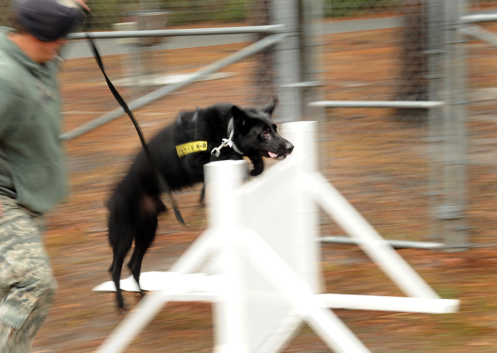 MOODY AIR FORCE BASE, Ga. -- Staff Sgt. Ryan Frederick, 23rd Security Forces Squadron military working dog handler, walks Ficko through a MWD confidence course Feb. 4. Although Ficko weighs 90 pounds, he is a very athletic dog and can complete the course without trouble. (U.S. Air Force photo/Airman 1st Class Douglas Ellis)(RELEASED)
