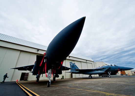 Two F-15s guard the hangar during the 70th birthday celebration Feb. 3 at Eglin Air Force Base, Fla.  Six different aircraft types representing just a few of the airframes the 53rd Wing use to conduct their mission of operational testing and evaluation were on display.  The wing was activated Jan. 15, 1941.  (U.S. Air Force photo/Samuel King Jr.)