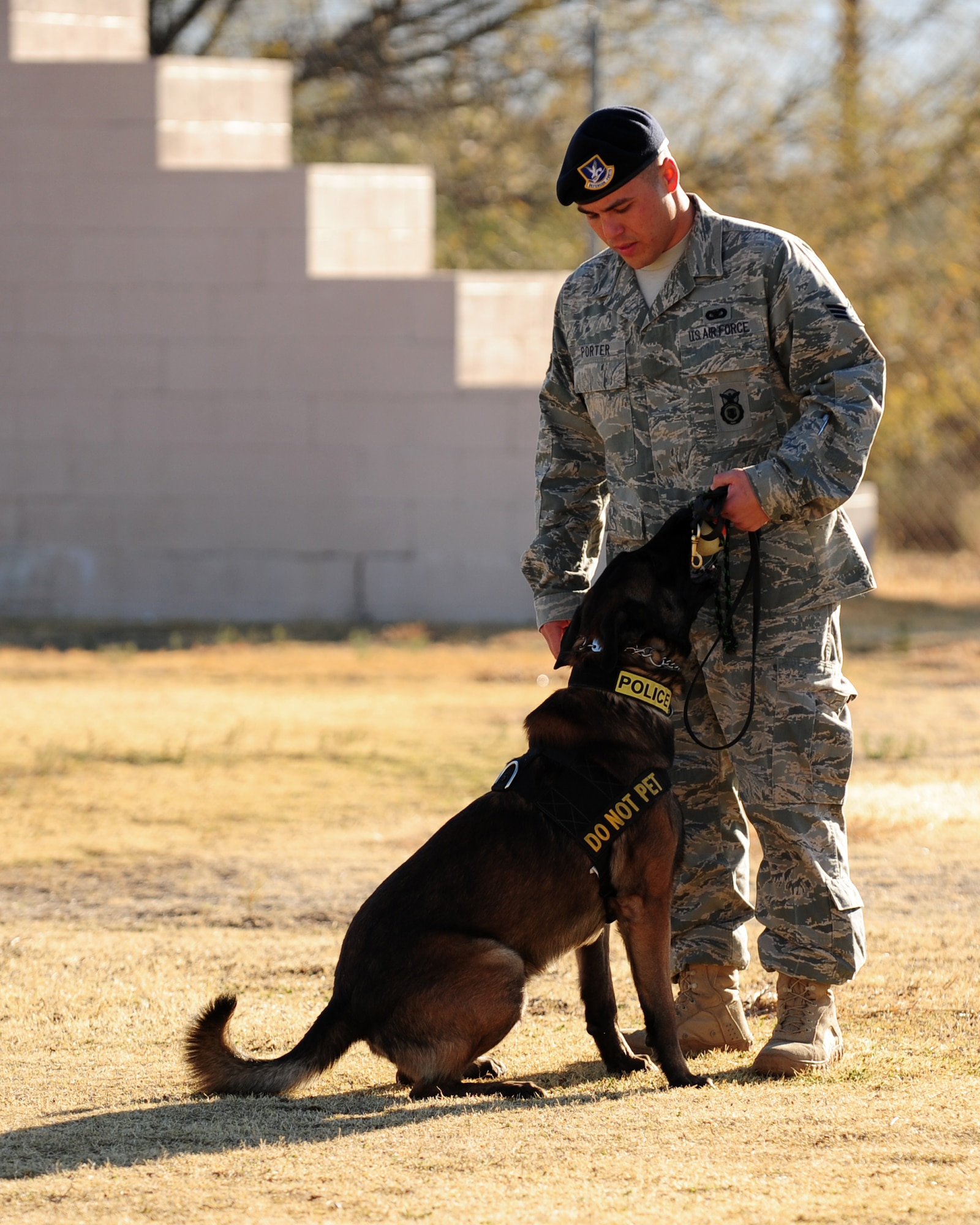 DAVIS-MONTHAN AIR FORCE BASE, Ariz. – Bruno, an attack dog from the D-M K-9 unit, responds to a command from his handler, Senior Airman Porter from the 355th Security Forces Squadron, here Jan. 26. Military working dogs are trained to detect explosives, narcotics and people. (U.S. Air Force photo/Airman 1st Class Jerilyn Quintanilla)