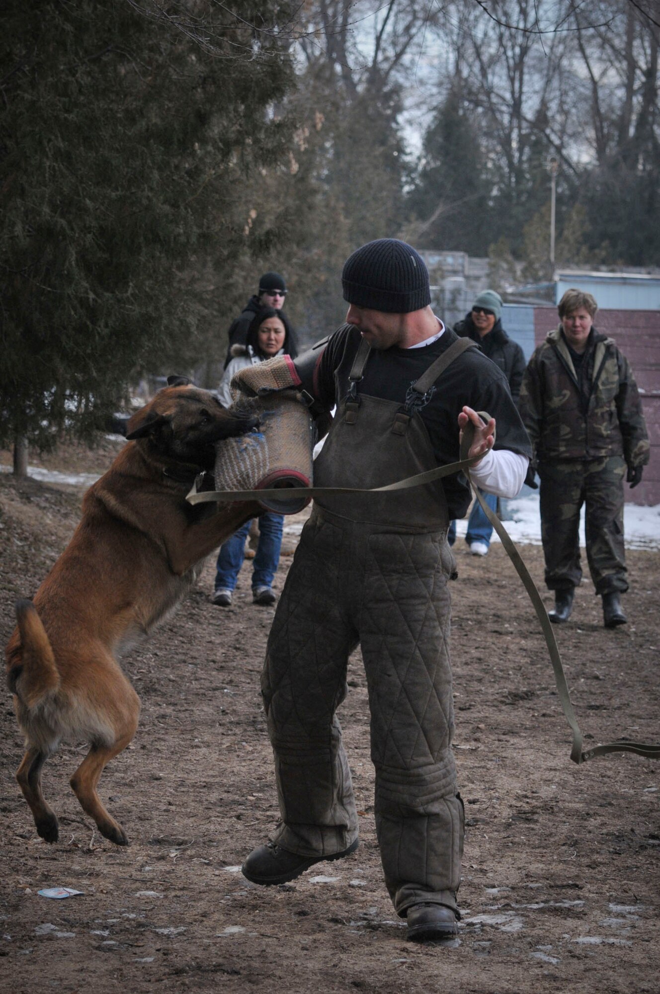 TRANSIT CENTER AT MANAS, Kyrgyzstan - Joseph Villalobos, a K-9 handler from the Transit Center, catches a dog with a bite suit as a part of a military to military information exchange Feb. 11. Members of Bakyt National Security train with K-9 handlers here to help foster a good working relationship. (U.S. Air Force photo/Staff Sgt. Stacy Moless)
