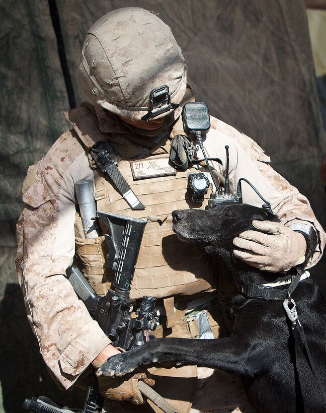 Cpl. Herb Hartfield, a team leader with Redemption II, Weapons Company, 2nd Battalion, 1st Marine Regiment, snuggles with Susie, one of Redemption II's bomb dogs, before heading out on a patrol of Belush, a village in Garmsir District, Helmand province, Afghanistan, Feb. 13. Weapons Company's headquarters is Patrol Base Gorgak in Garmsir District.