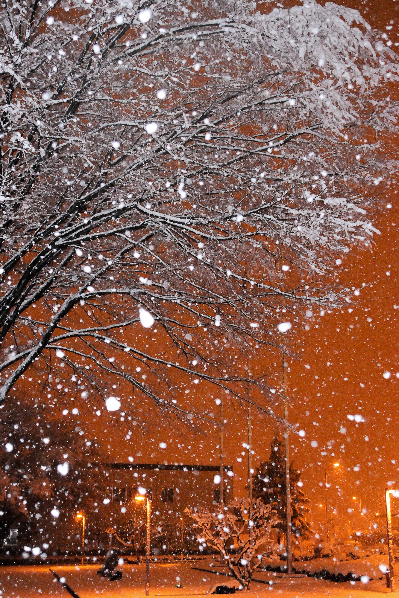 YOKOTA AIR BASE, Japan -- Five inches of snow fell on base in just over seven hours Feb. 14-15, causing base leadership to call out the plows to clear the runway, taxiways and roadways. The accumulation paled in comparison to the record 15 inches of snow that fell at Yokota Feb. 15-16, 1968, breaking a mark that had stood since 1951. The record snowfall for Tokyo is 18.3 inches in 1883, according to historical records.  (U.S. Air Force photo/Airman 1st Class Katrina R. Menchaca)