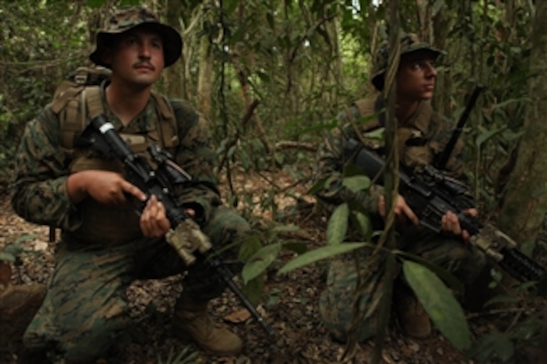 U.S. Marines with Company E, Battalion Landing Team, 2nd Battalion, 5th Marine Regiment, 31st Marine Expeditionary Unit, 3rd Marine Expeditionary Brigade, observe the area during a patrol through the jungle in Recon Camp, Kingdom of Thailand, in support of Exercise Cobra Gold 2011 on Feb. 15, 2011.  For three decades, Thailand has hosted Cobra Gold, one of the largest land-based, joint, combined military training exercises in the world.  A successful Cobra Gold 2011 results in increased operational readiness of U.S. and Thai forces and matured military to military relations between the two countries.  