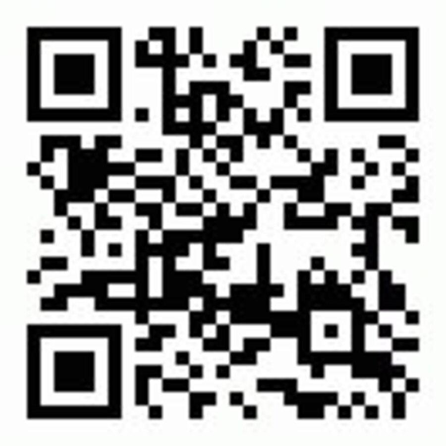 QR Code - Decode the image to get to the Library Catalog!