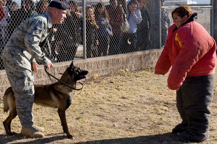 NELLIS AIR FORCE BASE, Nev.-- Staff Sgt. Kennedy Wilkinson, 99th SecurityForces Squadron dog handler, holds Erik, his military working dog, before releasing him to chase Dulce Domingo, Canyon Springs High School student, Feb 2. The 99th SFS was one of three squadrons at Nellis that participated in National Job Shadow Day, a program created to help lower the high school dropout rate for youth across the U.S. (U.S. Air Force photo by Airman 1st Class Jamie Nicley)
